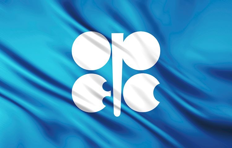 路透：OPEC+维持石油产量政策不变