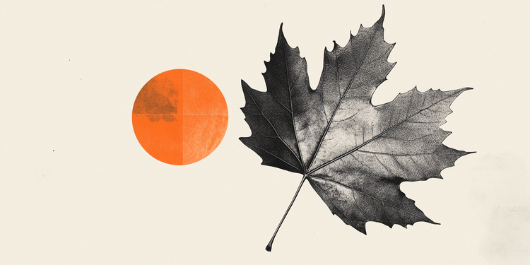 加元跌破1.41 – 加拿大丰业银行